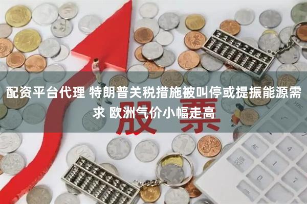 配资平台代理 特朗普关税措施被叫停或提振能源需求 欧洲气价小幅走高